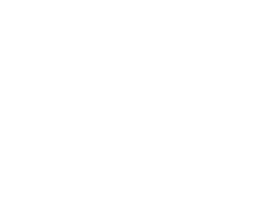 Український культурний фонд - державний інвестор культурних індустрій